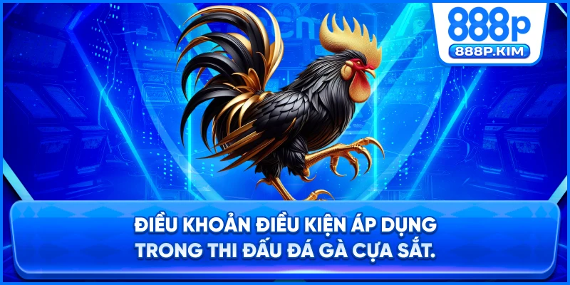 Điều khoản điều kiện áp dụng trong thi đấu đá gà cựa sắt.