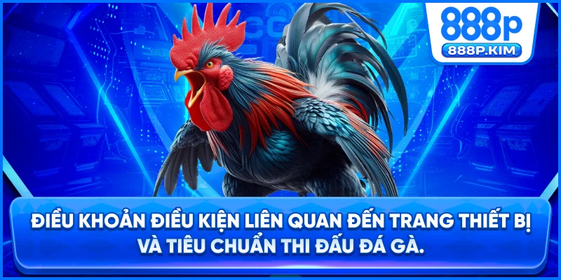 Điều khoản điều kiện liên quan đến trang thiết bị và tiêu chuẩn thi đấu đá gà.